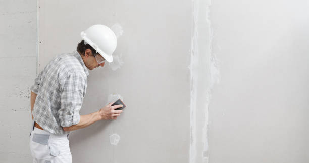 Best Crawl Space Mold Remediation  in Woodburn, IN