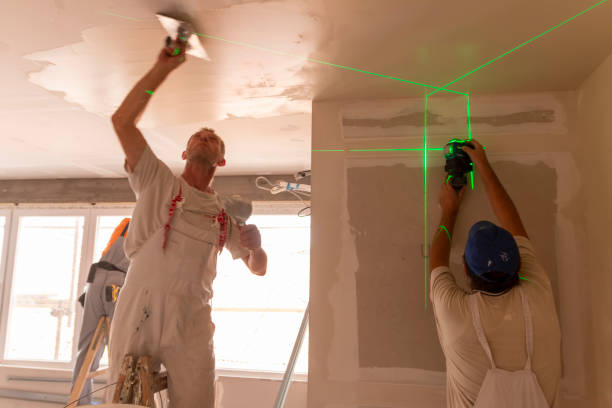 Best Water Damage & Mold Remediation  in Woodburn, IN