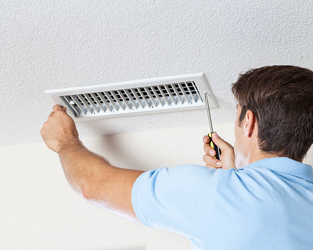 Best Industrial Mold Remediation  in Woodburn, IN