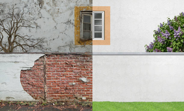 Woodburn, IN Mold Removal Company