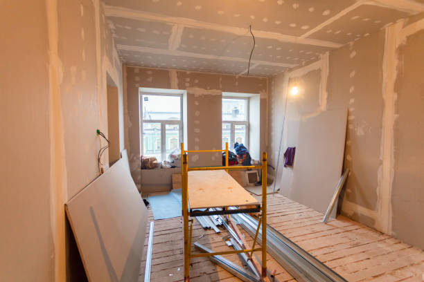 Best Mold Damage Restoration  in Woodburn, IN